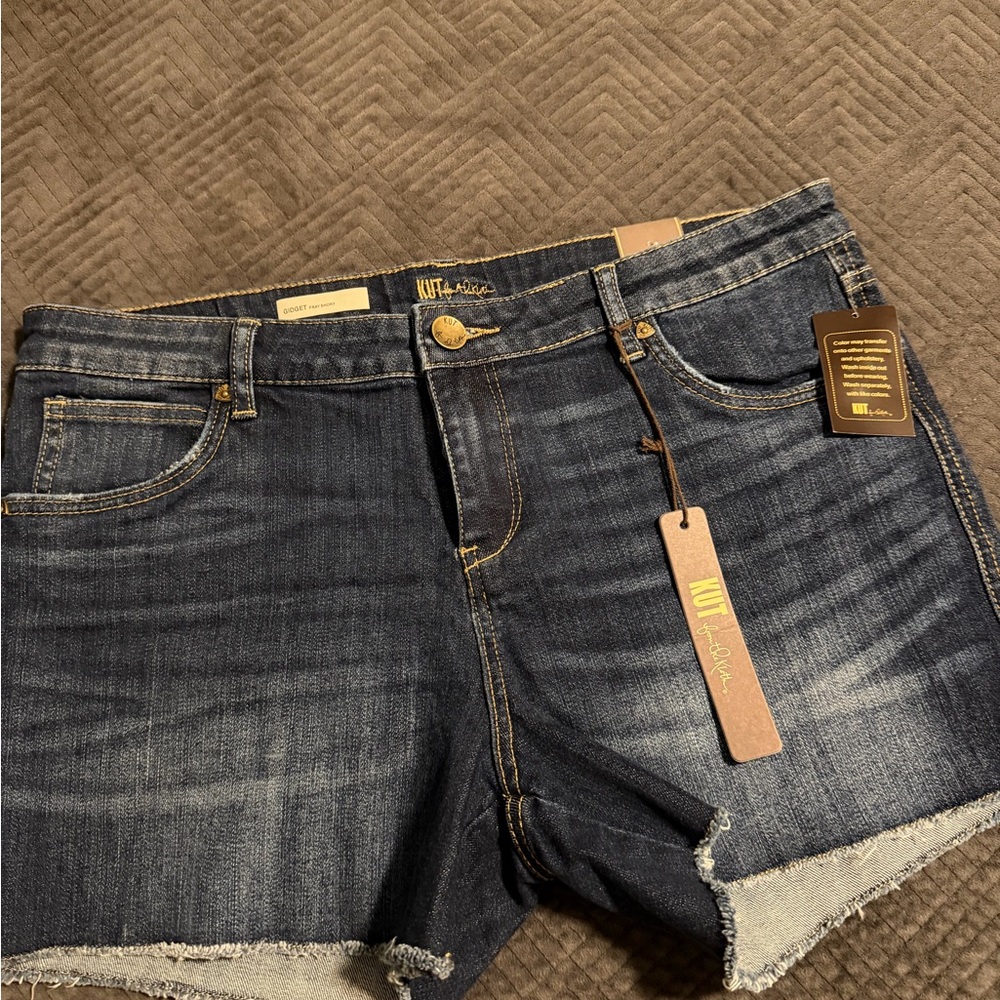 Kut from the Kloth Indigo Frayed Denim Shorts